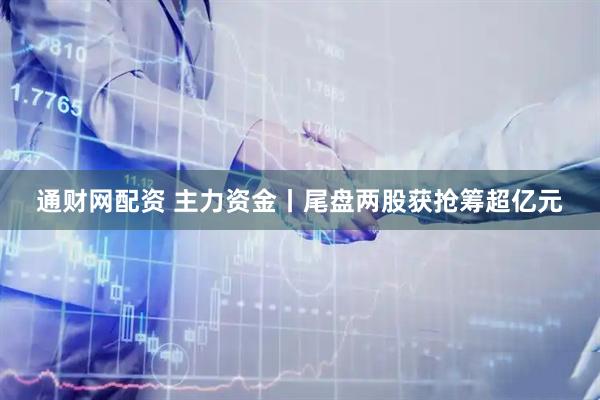 通财网配资 主力资金丨尾盘两股获抢筹超亿元