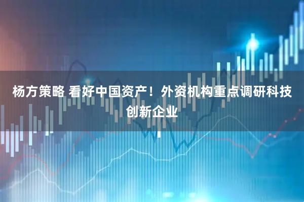 杨方策略 看好中国资产！外资机构重点调研科技创新企业