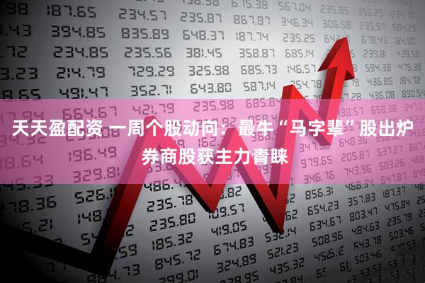 天天盈配资 一周个股动向：最牛“马字辈”股出炉 券商股获主力青睐