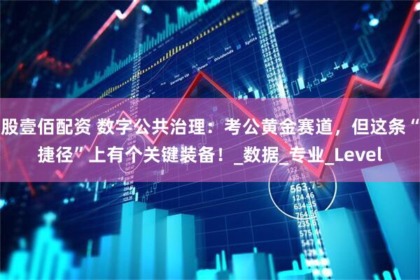 股壹佰配资 数字公共治理：考公黄金赛道，但这条“捷径”上有个关键装备！_数据_专业_Level