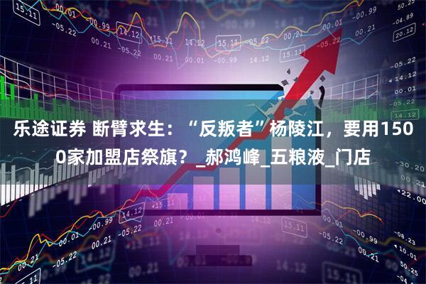 乐途证券 断臂求生：“反叛者”杨陵江，要用1500家加盟店祭旗？_郝鸿峰_五粮液_门店