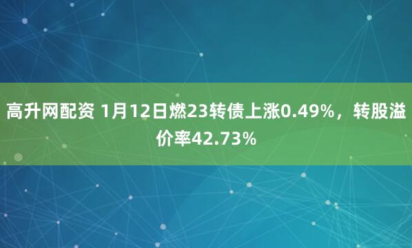 高升网配资 1月12日燃23转债上涨0.49%，转股溢价率42.73%